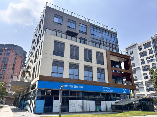 东莞打包带